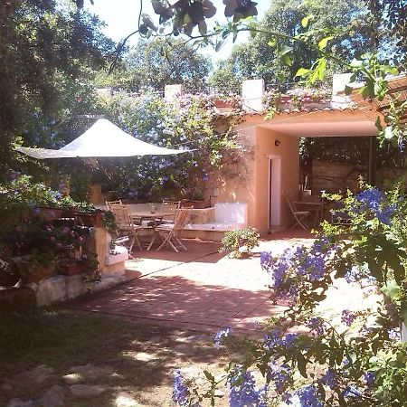 B&B Le Corti Di Aloa San Pantaleo Exteriör bild