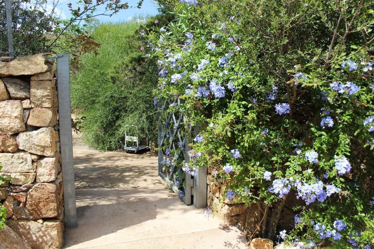 B&B Le Corti Di Aloa San Pantaleo Exteriör bild