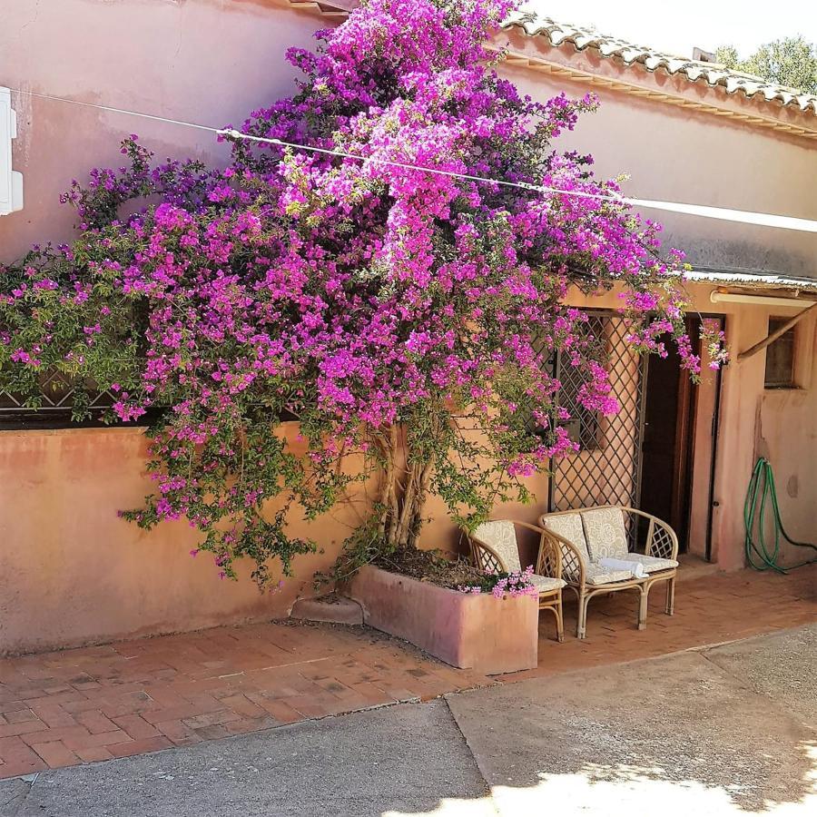 B&B Le Corti Di Aloa San Pantaleo Exteriör bild