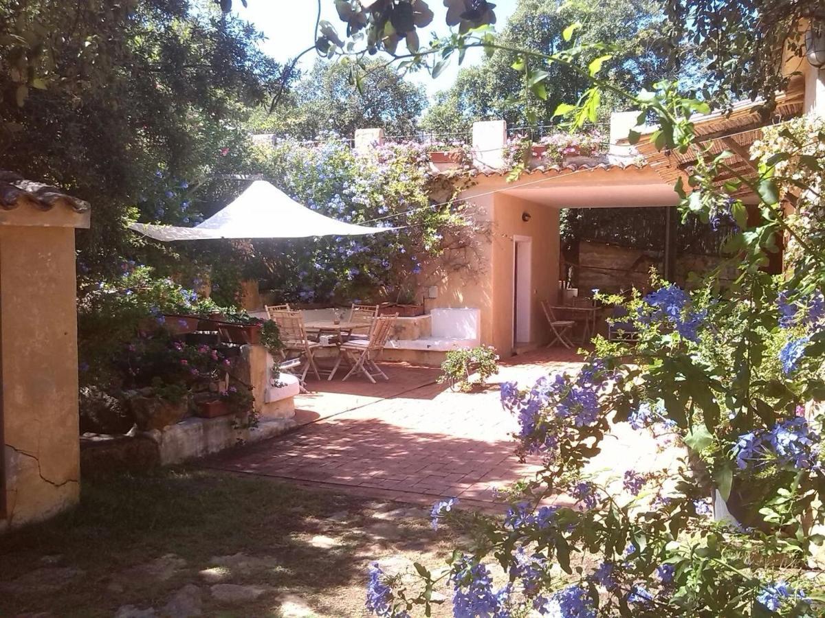 B&B Le Corti Di Aloa San Pantaleo Exteriör bild