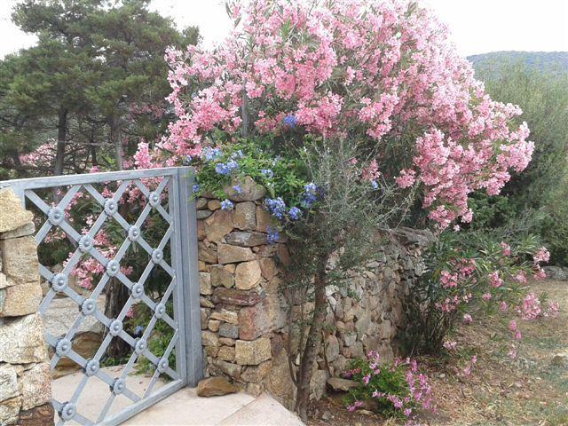 B&B Le Corti Di Aloa San Pantaleo Exteriör bild
